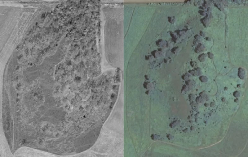 Pheasant Branch Hill aerial photos from 2000 (left) and 2010 (right)---note the pervasive brush on the north and east sides of the hill in 2000