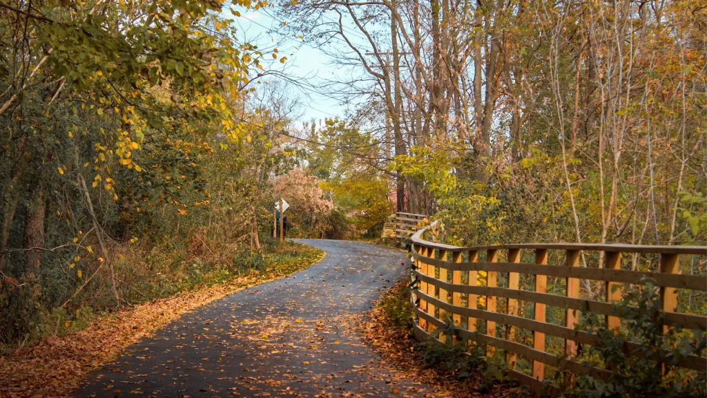 A path in Pheasant Branch Conservancy in Middleton Wisconsin in the fall