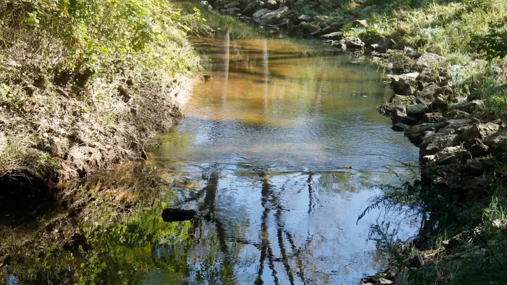 Creek at at Pheasant Branch Conservancy in Middleton, Wisconsin