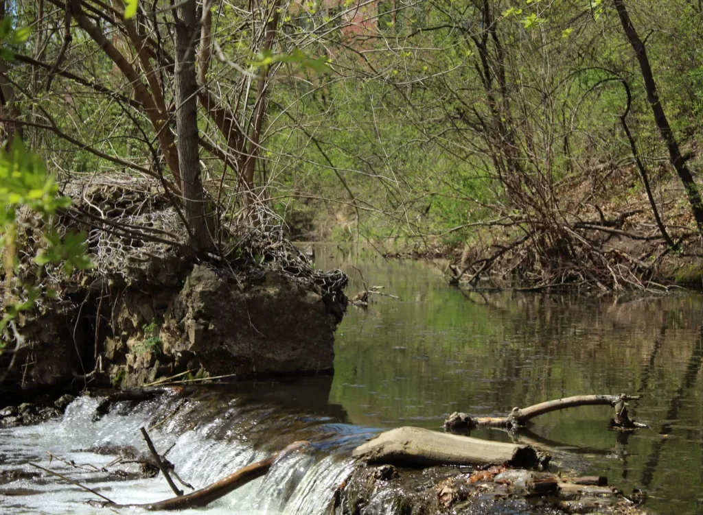 pheasant branch creek in spring middleton wi