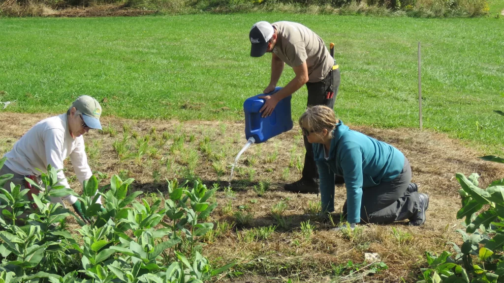 Volunteers at Pheasant Branch Conservancy