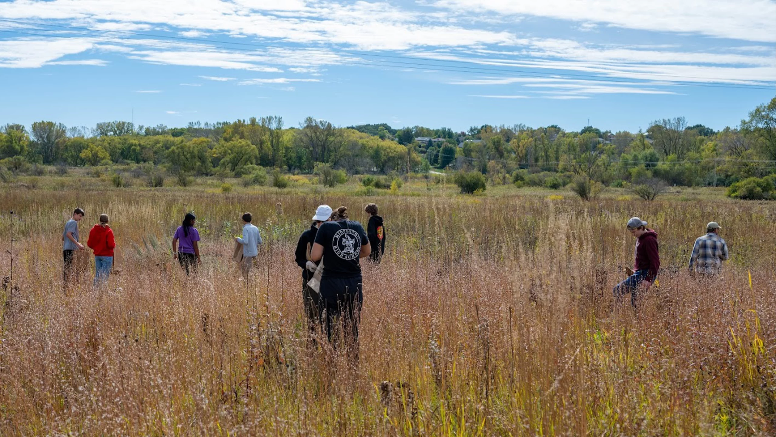 Volunteers collecting seeds at Pheasant Branch Conservancy in Middleton, Wisconsin