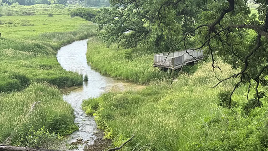 New boardwalk and platform at Frederick Springs in Pheasant branch Conservancy