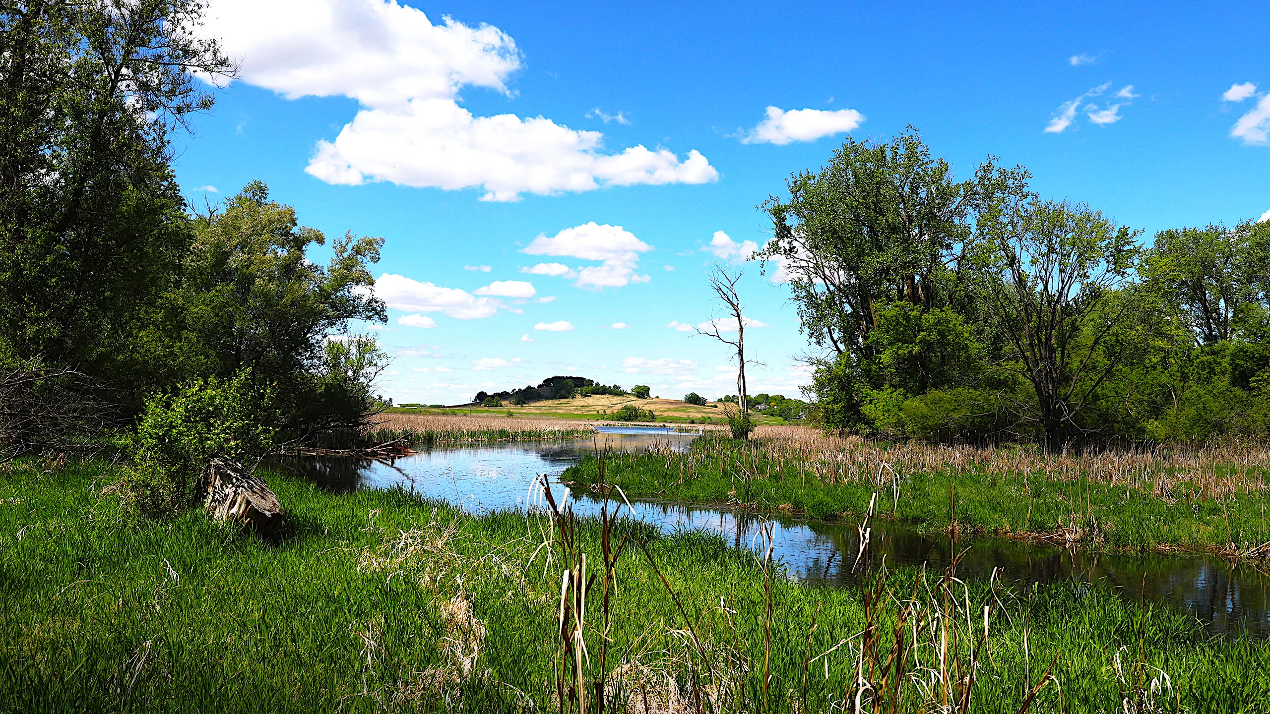 Saban's Creek viewpoint on Pheasant Branch Creek at Pheasant Branch Conservancy in Middleton WI