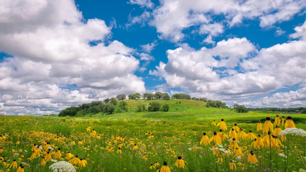 Blue sky with white clouds over Pheasant Branch Hill