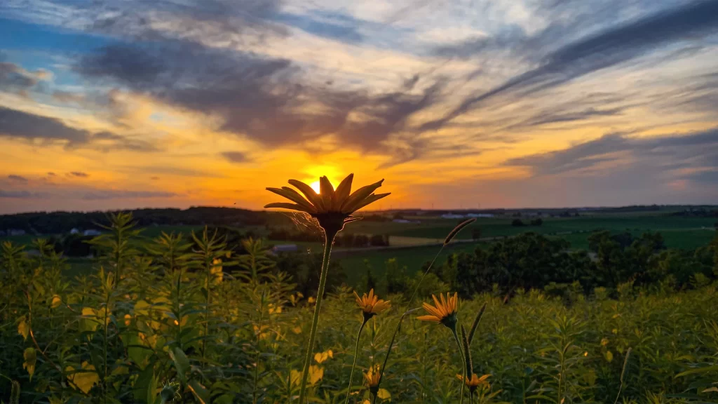 Sunset at Pheasant Branch Conservancy