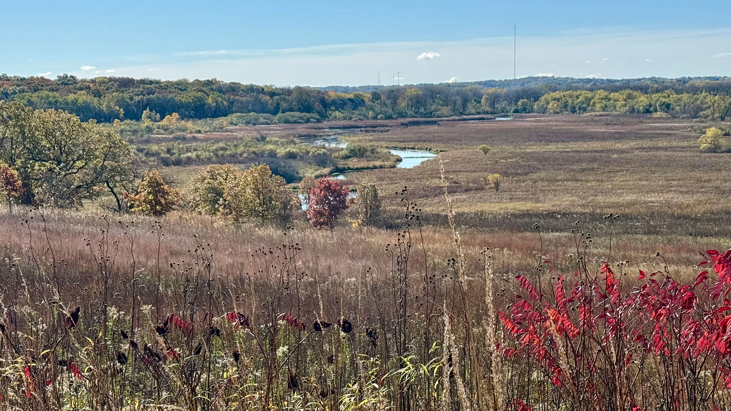 Observation deck at Pheasant Branch Conservancy
