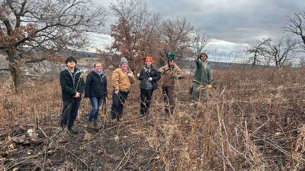 Pheasant Branch Conservancy brush removal
