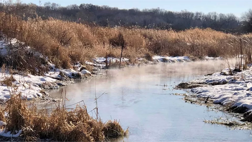 Pheasant Branch Creek