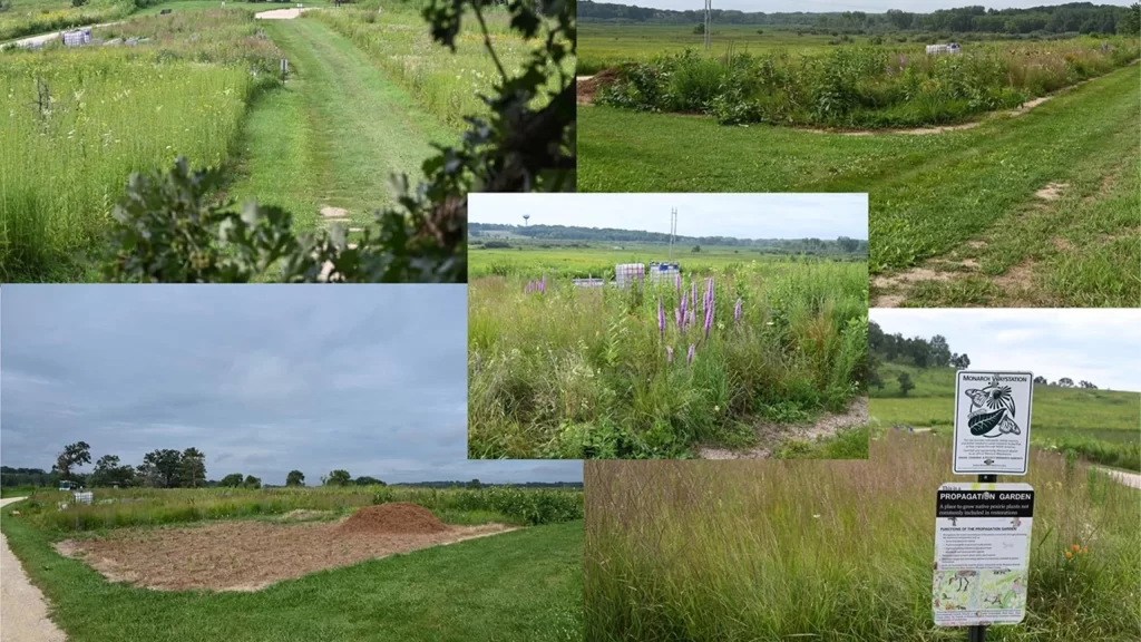 The thriving propagation garden at Pheasant Branch Conservancy