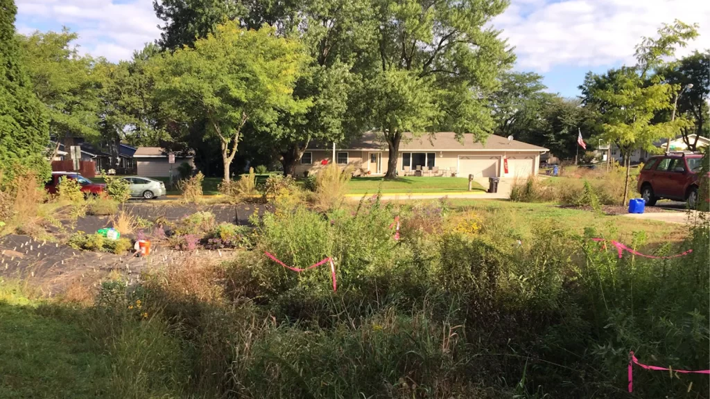 Rain Gardens in the fall