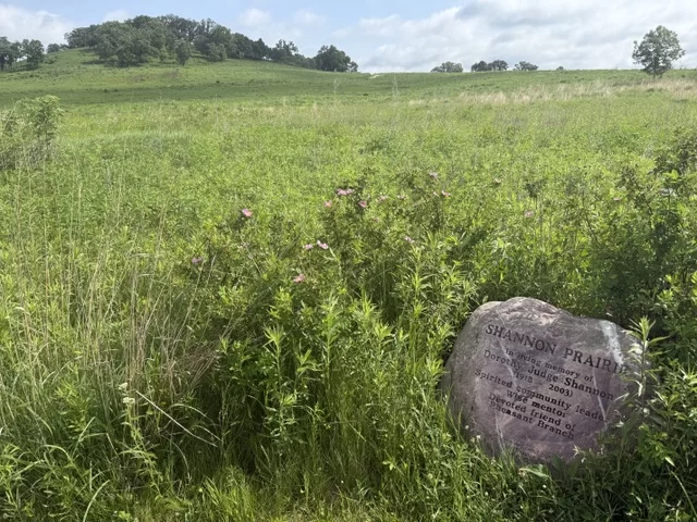 Shannon Prairie Spring Trail North