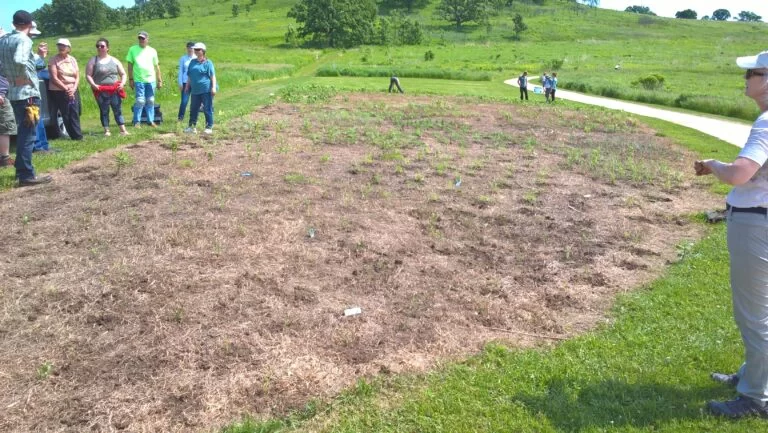 The thriving propagation garden at Pheasant Branch Conservancy
