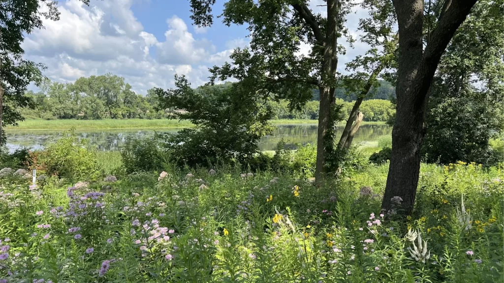 Graber Pond at Pheasant Branch Conservancy in Middleton, Wisconsin