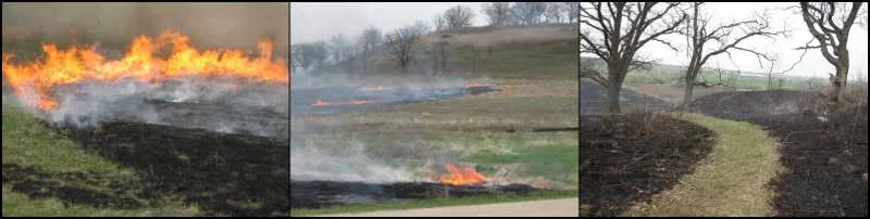 Photos from during and after the prescribed fire of April 12, 2010. Note that the bur oaks in the last image are unharmed