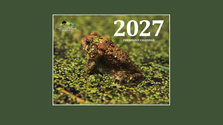 2027 Phenology calendar