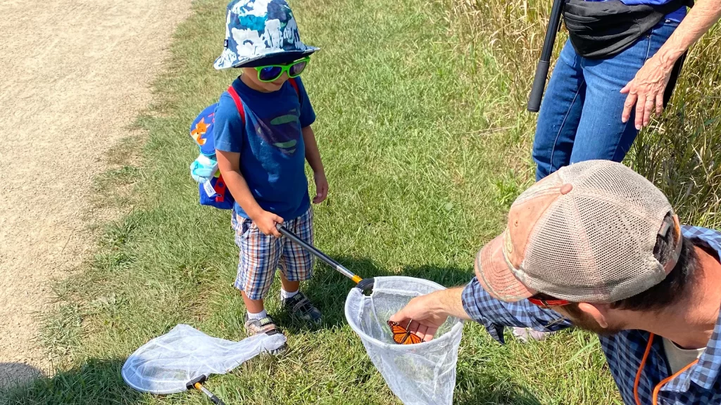 Monarch butterfly tagging event at Pheasant Branch Conservancy in Middleton Wisconsin