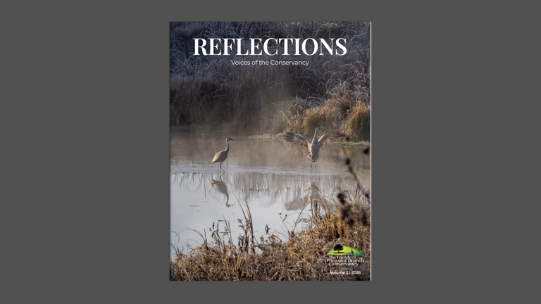 Reflections | Vol. 2 - 2026