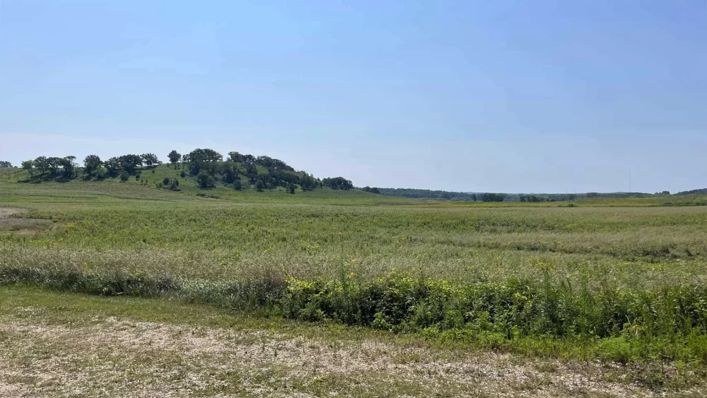 New prairie at Pheasant Branch Conservancy