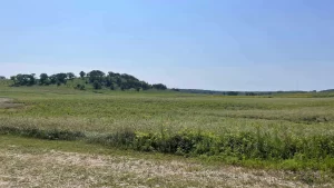 New prairie at Pheasant Branch Conservancy