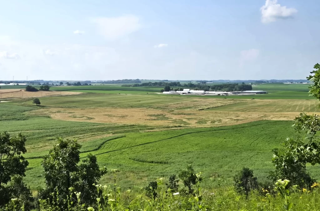Dairy Farm Restored to Prairie