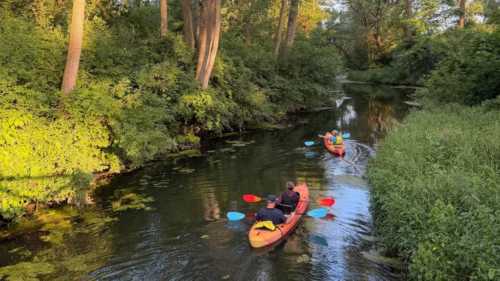 Group of kayakers paddling on Pheasant Branch Creek in Middleton