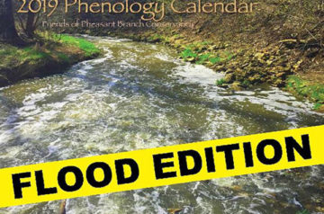 2019 Phenology Calendar Flood Edition