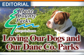 Picture of dog with Dane County Parks logo