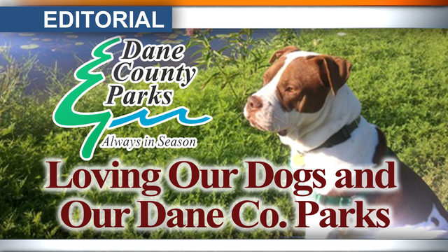 Picture of dog with Dane County Parks logo