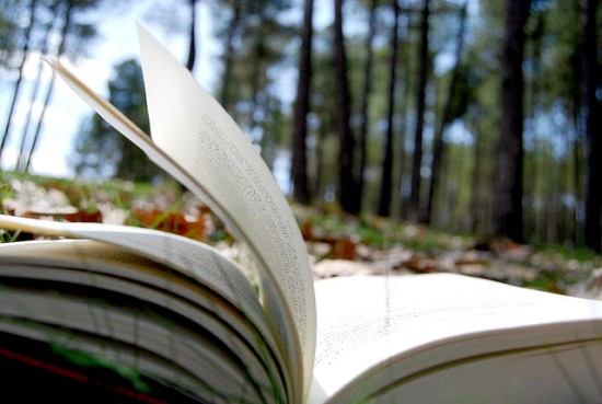 nature writing image - journal on ground in forest