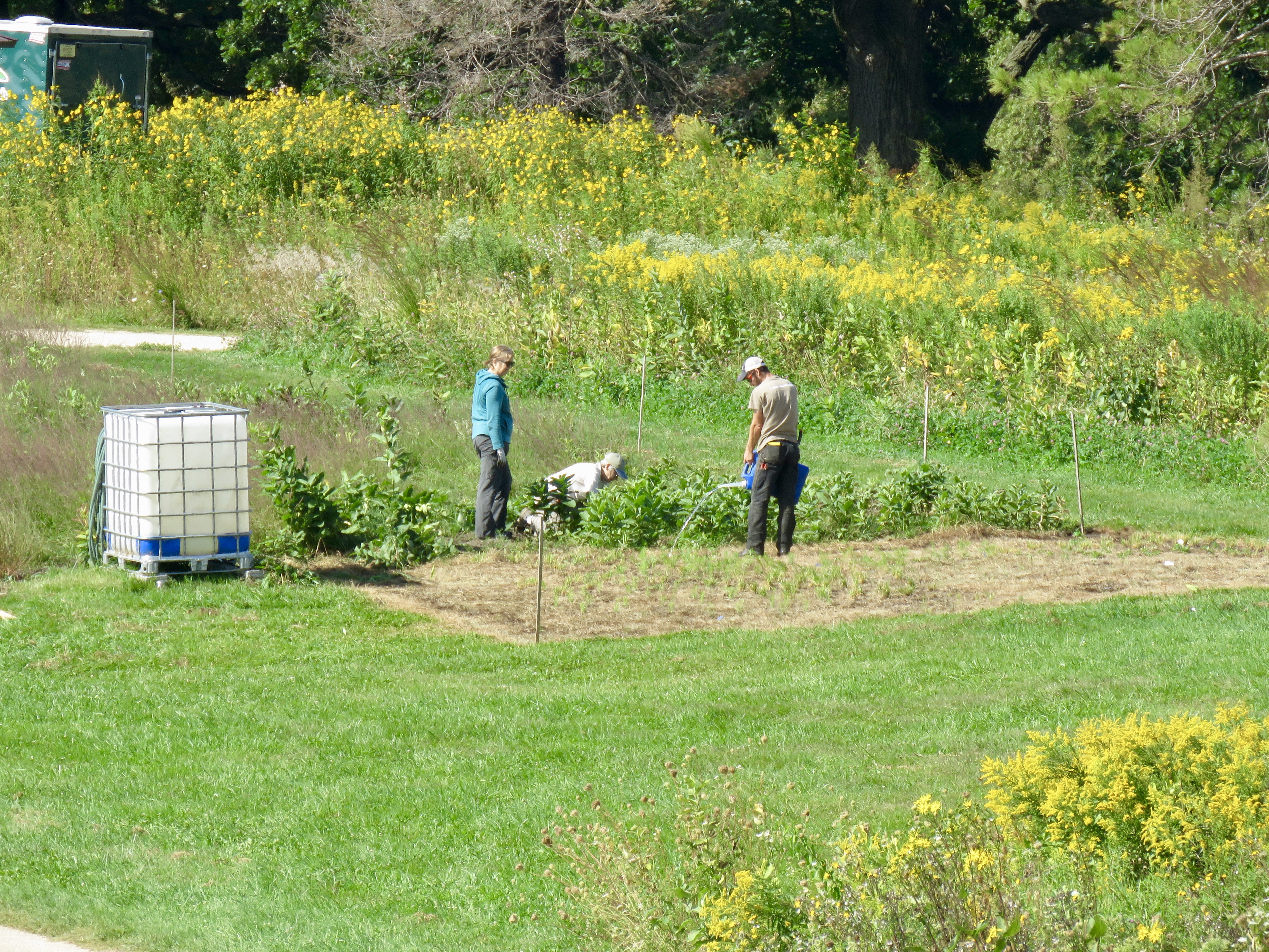 restoration workday