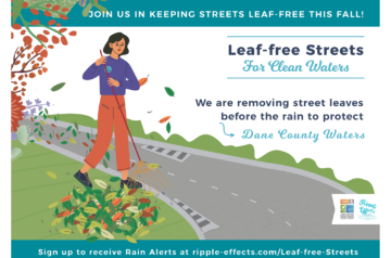 Leaf-free streets image