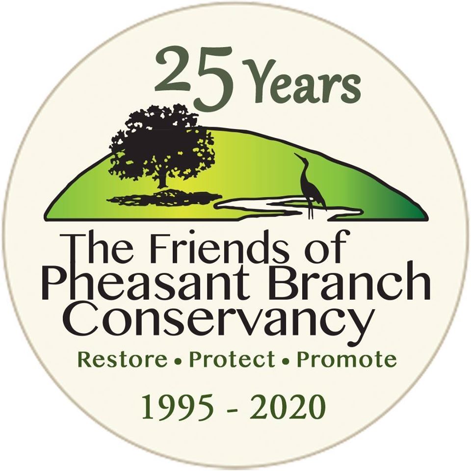 25th anniversary logo