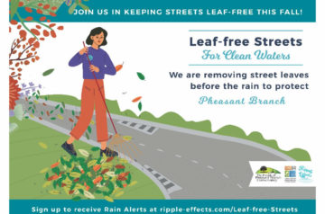 leaf free streets yard sign