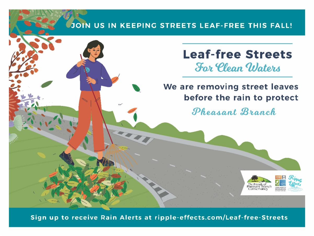 leaf free streets yard sign