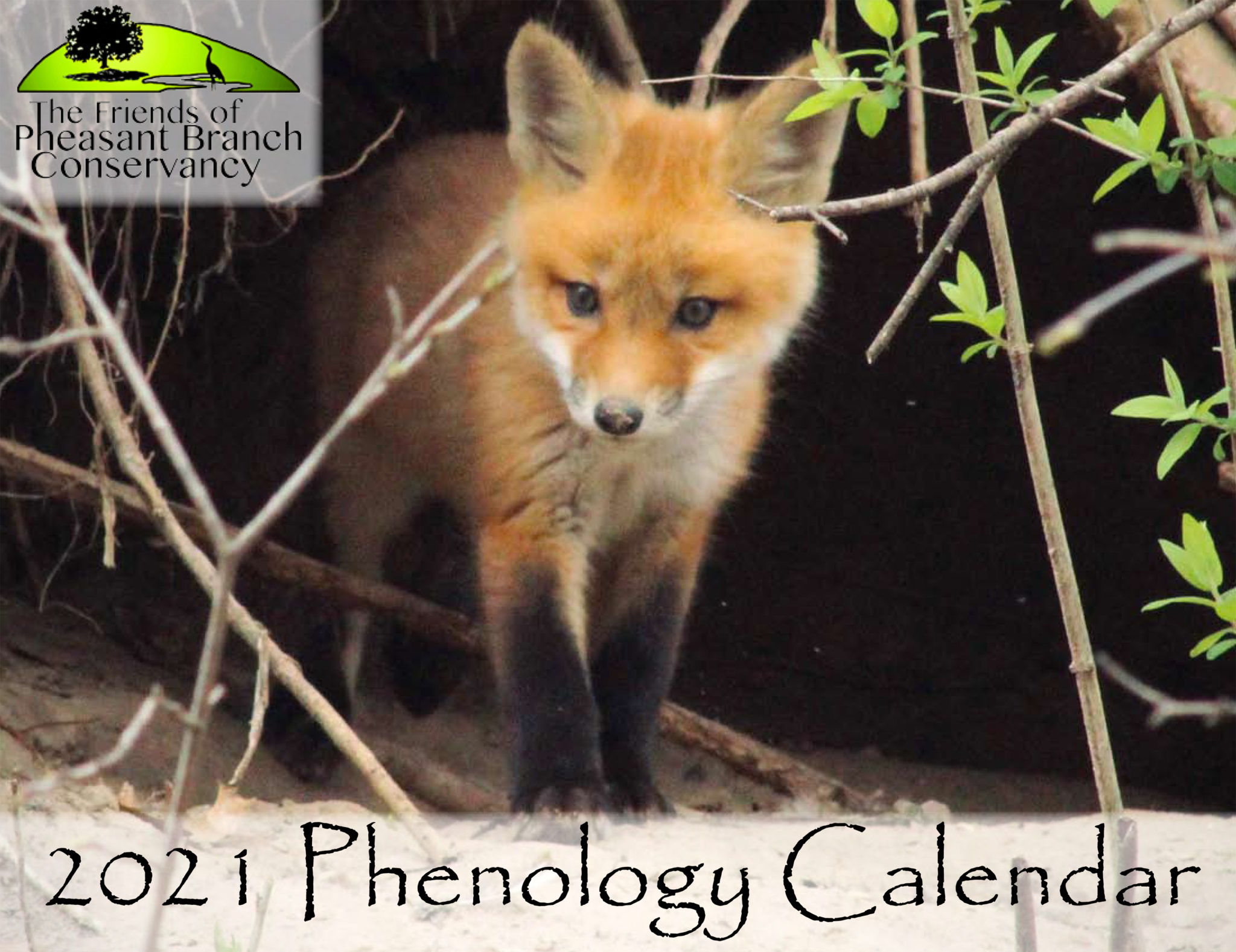 Phenology calendar order form – Friends of Pheasant Branch Conservancy