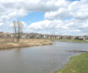 orchid heights detent pond