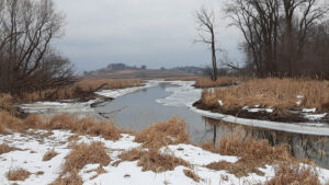 creek hill during winter