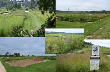 The Pheasant Branch Conservancy propagation garden was just a grassy, weedy parking lot in 2019