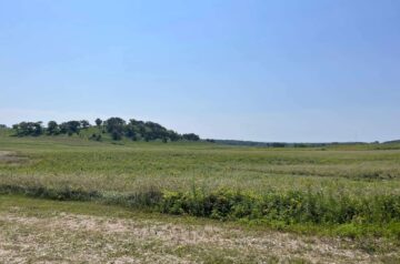 New prairie at Pheasant Branch Conservancy