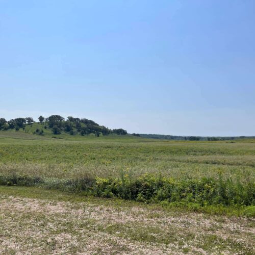 New prairie at Pheasant Branch Conservancy