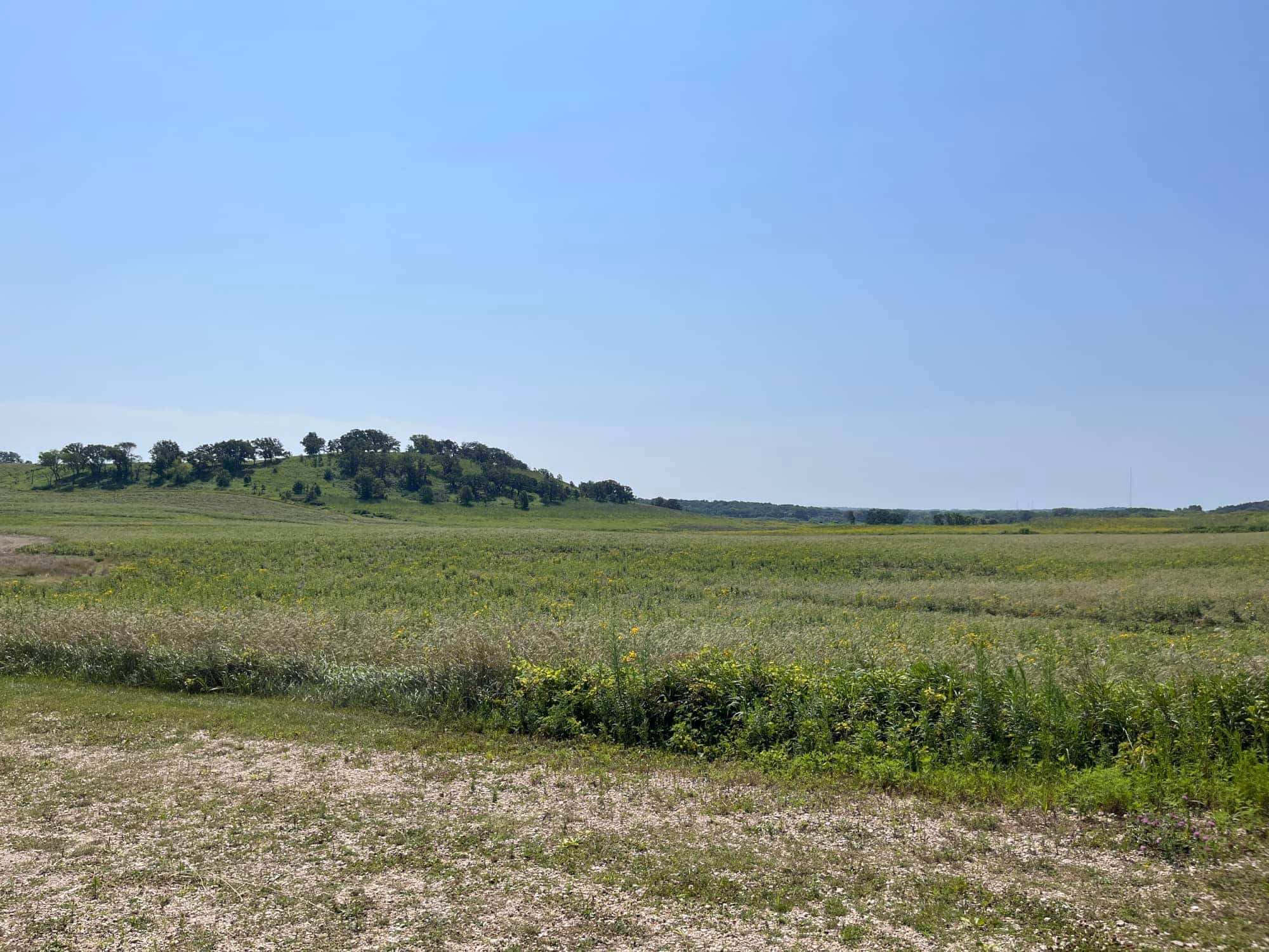 New prairie at Pheasant Branch Conservancy