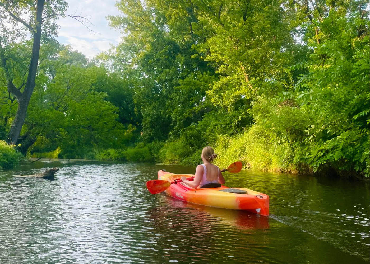 Kayak paddling with tree lined shoreline