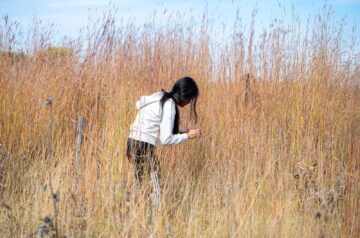 Student collecting seeds during field trip at Pheasant Branch Conservancy