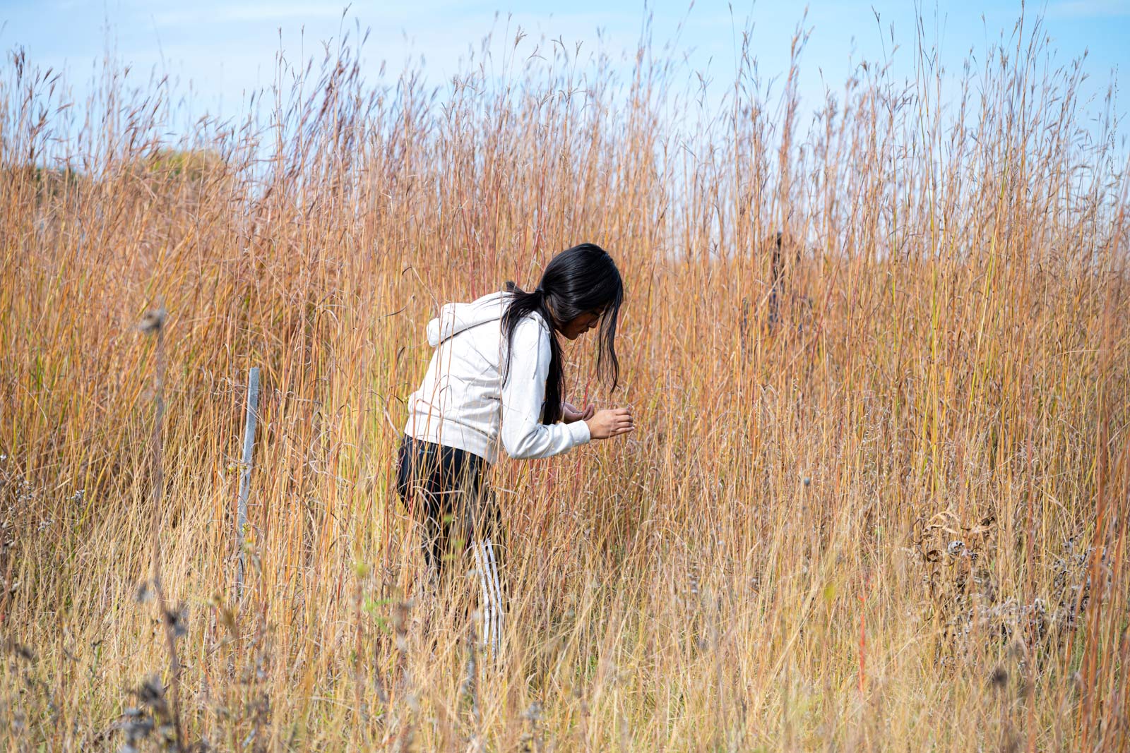 Student collecting seeds during field trip at Pheasant Branch Conservancy