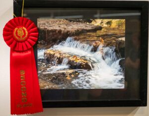 2nd place photo in annual Friends of Pheasant Branch photo contest