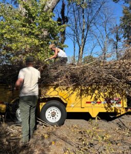 Students removing invasive species at Pheasant Branch Conservancy