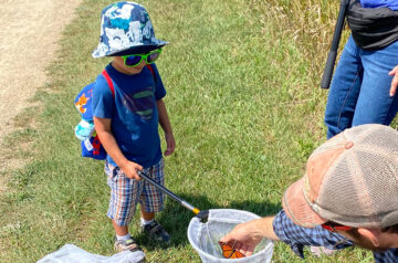 Monarch butterfly tagging event at Pheasant Branch Conservancy in Middleton Wisconsin